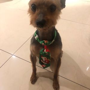 Meet your Posher, Maykel